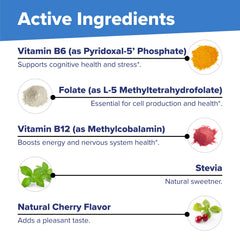 GMP-certified manufacturing facility background.