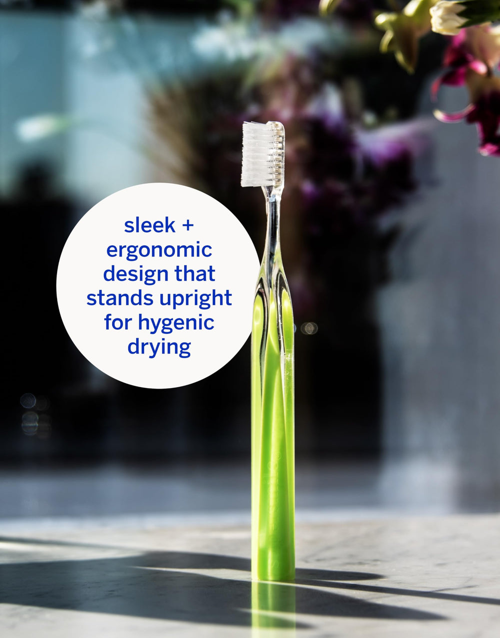 Hygienic standup storage for toothbrush