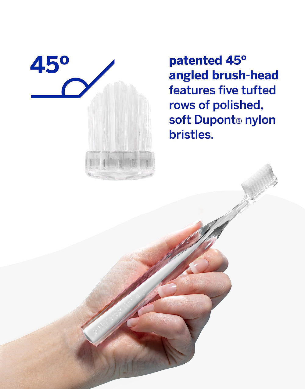 Toothbrush stands upright for hygienic drying