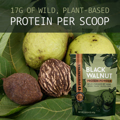Surthrival Black Walnut Protein Powder bag—shelf-stable gluten-free vegan protein.