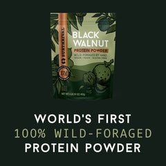 Surthrival Black Walnut Protein Powder in smoothie—creamy nutty texture adds protein.