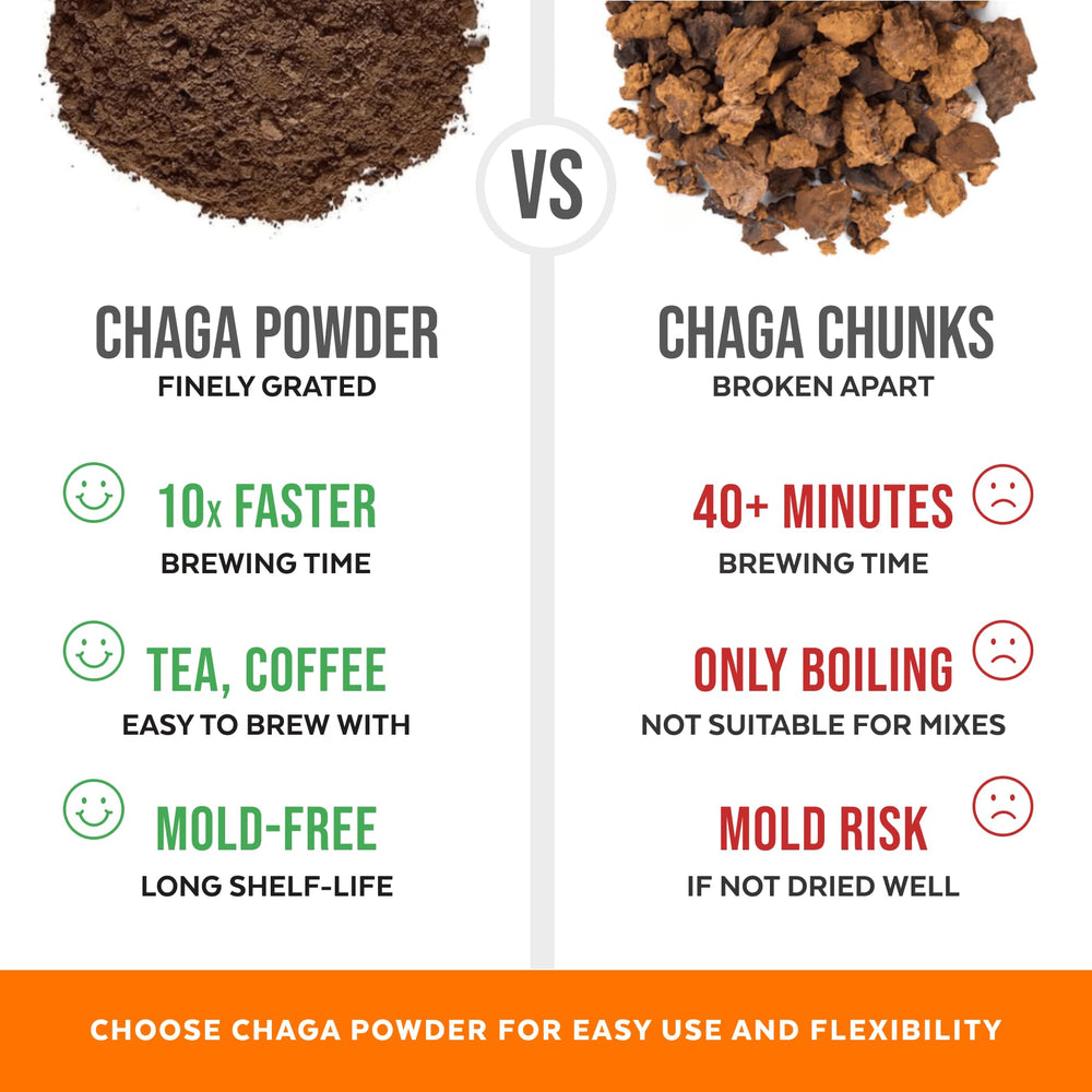 Sustainably harvested Chaga mushrooms from Europe