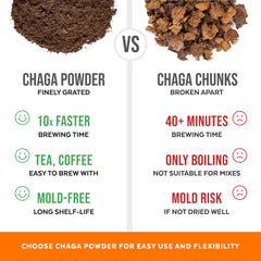 Sustainably harvested Chaga mushrooms from Europe