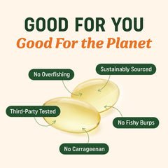 Sustainably sourced microalgae illustration