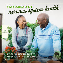 Close-up of Acetyl-L-Carnitine 500 mg capsule