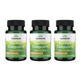 Swanson Bacillus Coagulans probiotic bottle label – 3-pack set
