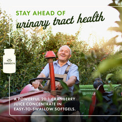 Close-up of cranberry 20:1 concentrate used for urinary tract health