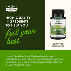 Brain function support with Ecklonia Cava Extract