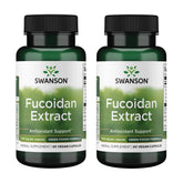 Front view of Swanson Fucoidan Extract 500mg bottle