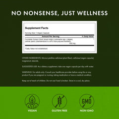 Two-pack Swanson Fucoidan Extract 500mg packaging