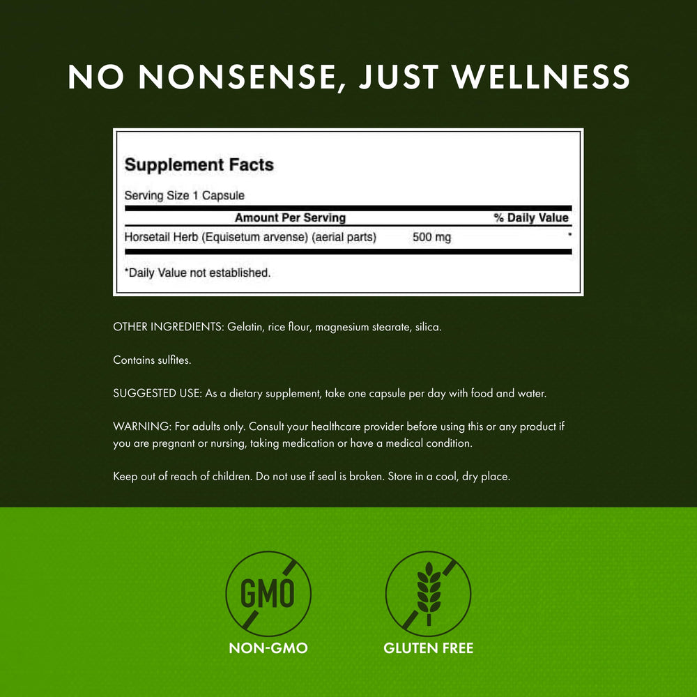 Horsetail grass plant illustration