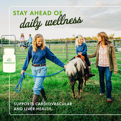 Kudzu Root capsules (500 mg each) close-up