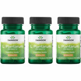 Swanson L. Plantarum probiotic bottle front