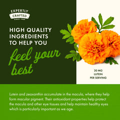 GMP-certified manufacturing facility icon