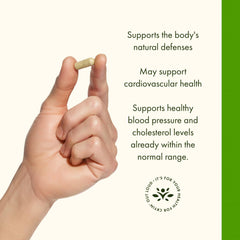 Packaging and bottle on a white background