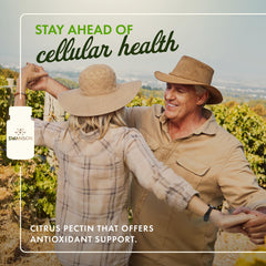 Close-up of Swanson PectiPure 600 mg citrus pectin capsule