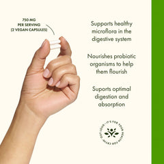 Close-up of Swanson Prebiotic Capsules