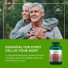 Brain and heart health concept illustration