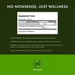Gastric mucosal lining illustrated for stomach protection