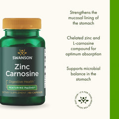 Chelated zinc and L-carnosine concept representing PepZinGI