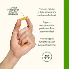 Swanson Vitamin B-100 packaging and bottle on white background