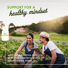 Close-up of herbal capsules in the Swanson complex bottle