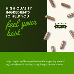 Swanson Rhodiola Rosea Root 4-pack bottle arrangement