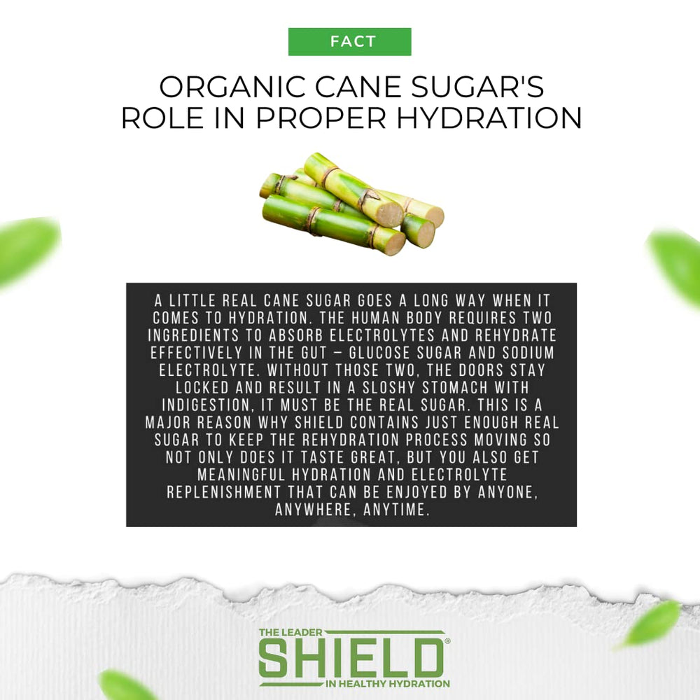 SWORD PERFORMANCE Shield pineapple mango packet dissolving provides tropical flavor for post-workout recovery.