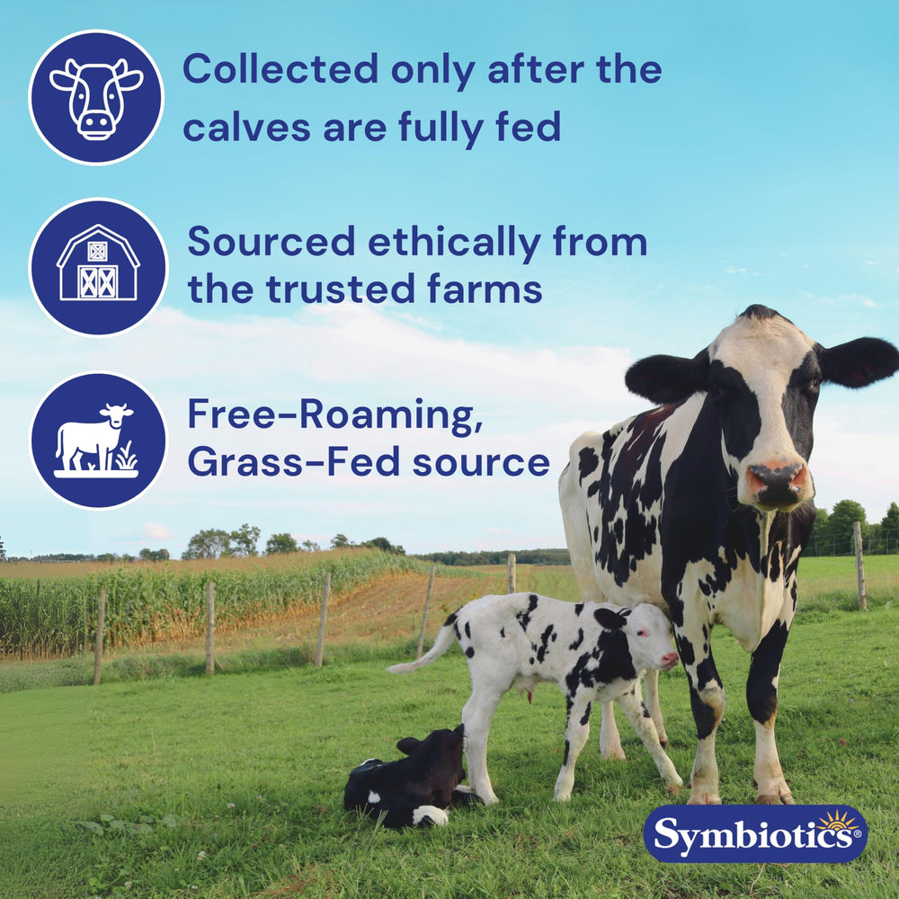 Close-up of ingredients and bioactive components in Symbiotics Colostrum Plus Powder