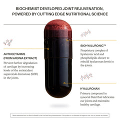 Graphic showing Hyaluronic Acid content in Synchro Rejuve