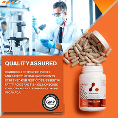 Syner Collagen ingredients and formula emphasis