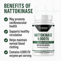 Graphic illustrating systemic enzyme cardiovascular support