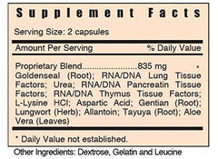 Illustration showing lungs and respiratory microbiome balance