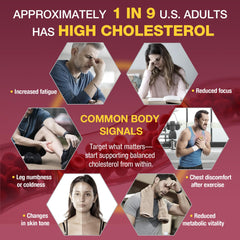 Niacin and Folate for metabolic support graphics