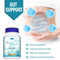 Digestive health and gut support concept