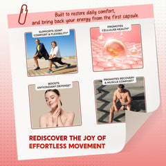 Icons representing vegetarian, non-GMO, gluten-free formula