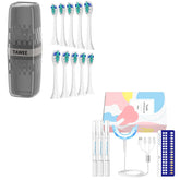 TAWEE replacement heads compatible with a wide range of toothbrush models