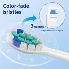 Individually wrapped replacement brush heads to protect bristles