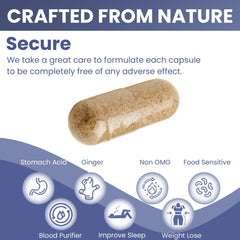 Dandelion extract ingredient in Teami Bloat Banish