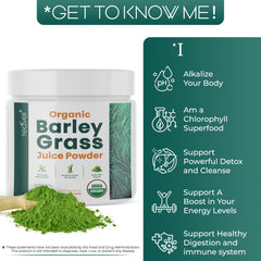 Barley grass juice powder sourced from Utah grown barley