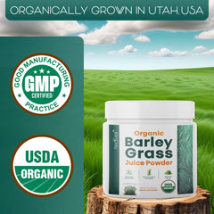 Gluten-free and additive-free label on Teaveli barley grass juice powder