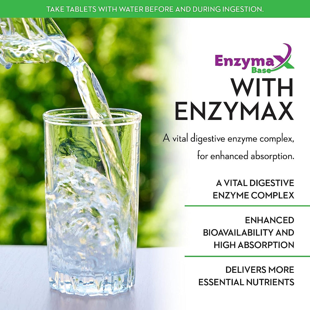 Enzymax digestive enzyme and metabolism support icons