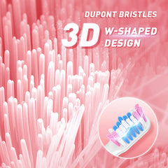Built in 2 minute timer on TEETHEORY toothbrush