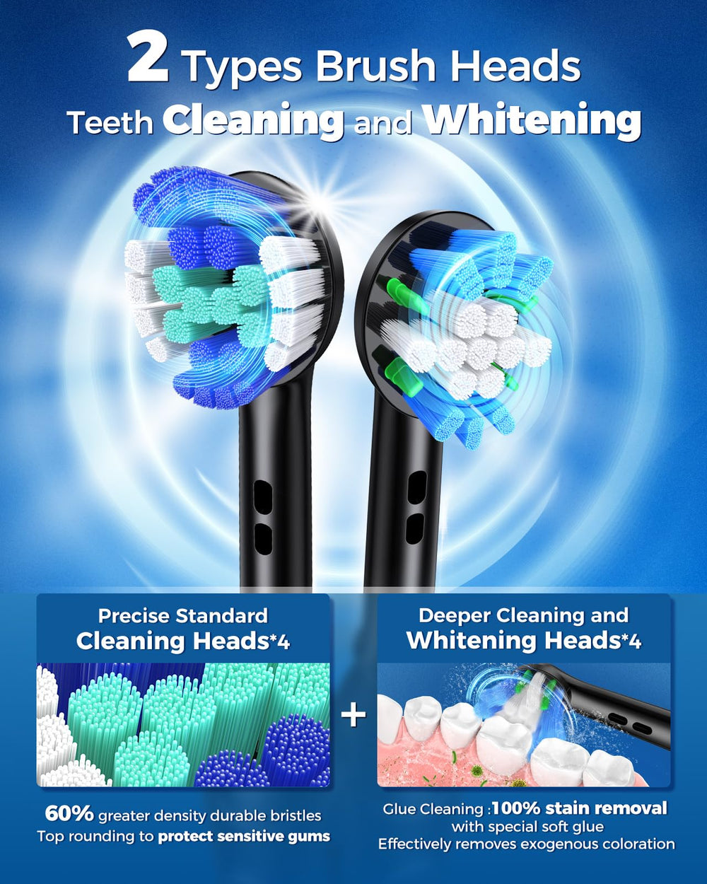 Eight included DuPont brush heads for long-lasting use