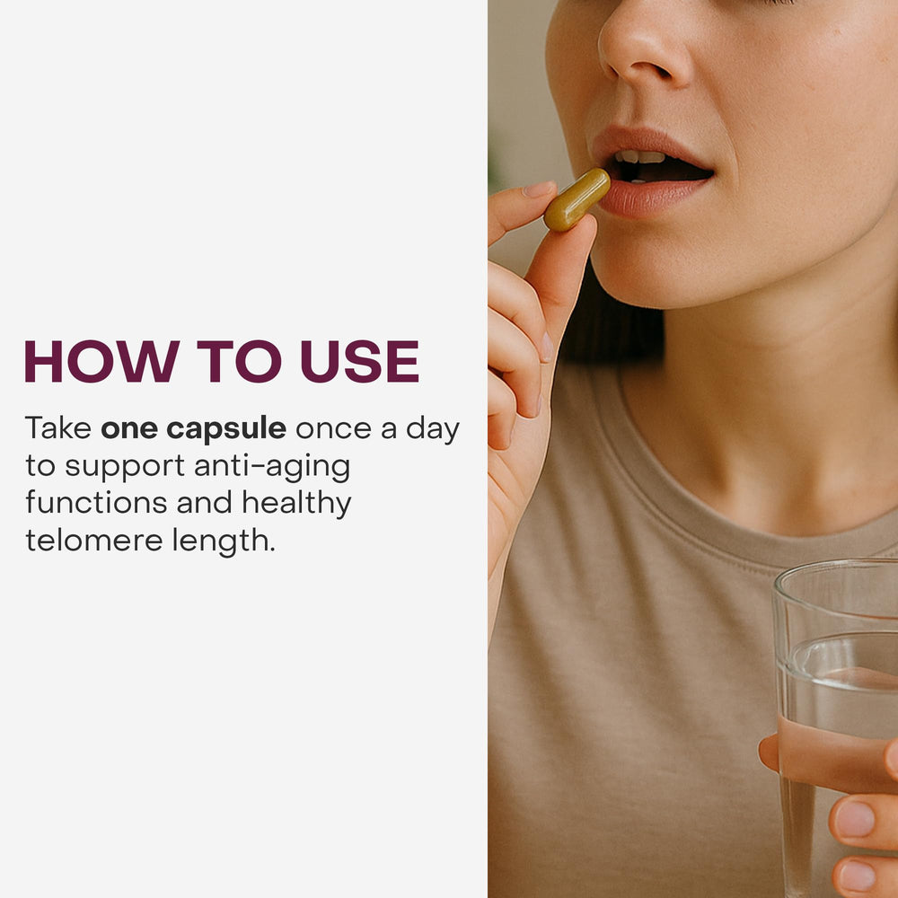 Graphic depicting telomere length and DNA repair