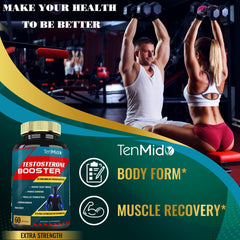 Tenmido GMP ISO quality badge communicates trusted manufacturing standards and consistent product quality.