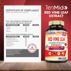 Herbal supplement setup with leaves and capsules