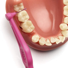 Soft nylon bristles on pink angled interdental brush