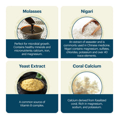 Gut health benefits of EM-X Gold prebiotic