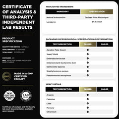 Healthy skin tone and pigmentation illustration